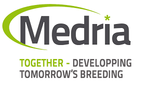 Logo Medria